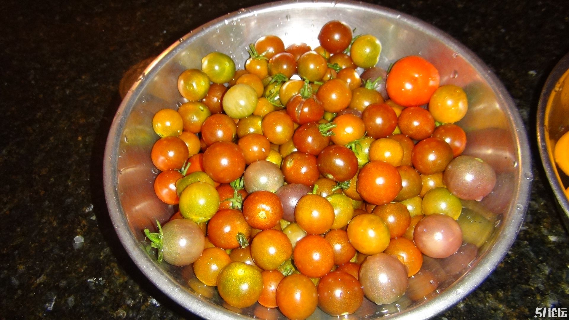 每日采摘的西红柿