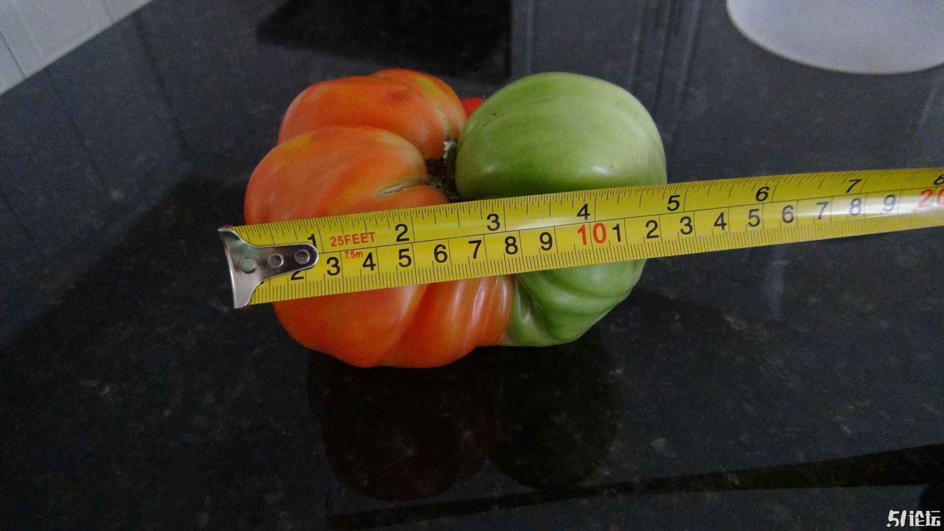 西红柿的长度