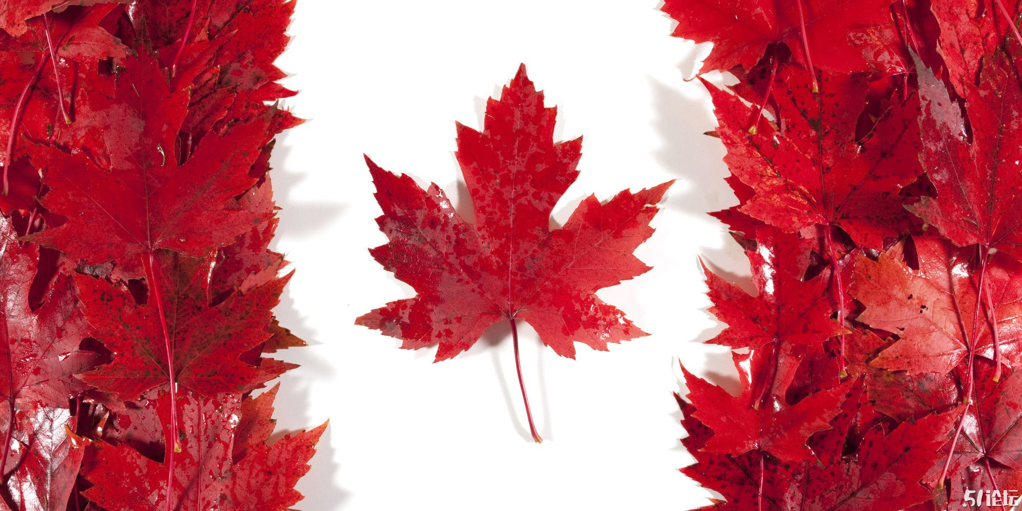 o-CANADA-FLAG-facebook.jpg