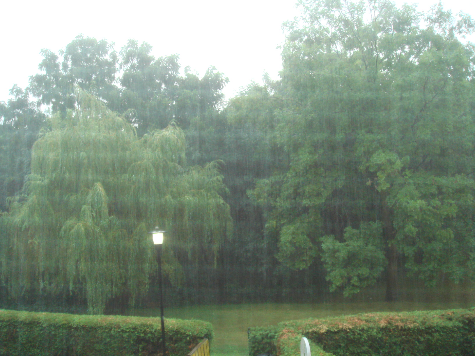 这时候雨最大，所以密集的雨使画面模糊雾蒙蒙的