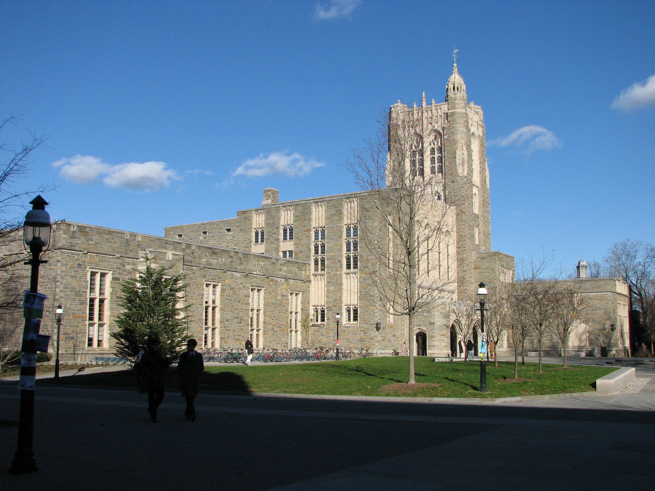 Princeton University Firestone Library.GIF