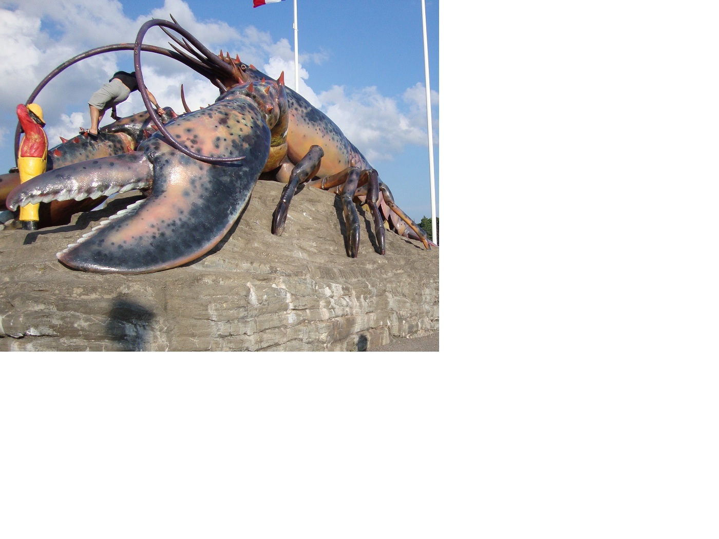 shediac lobster.jpg