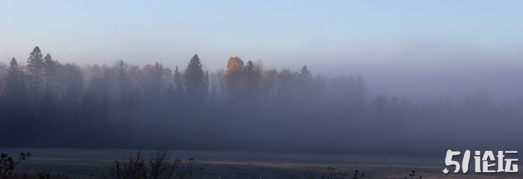 fog-4.jpg
