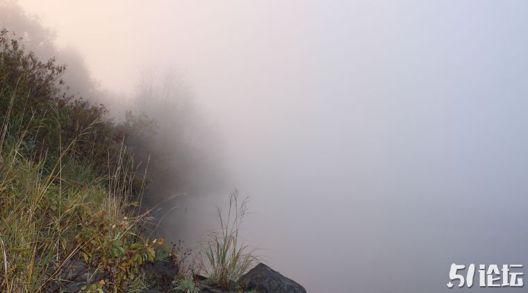fog-2.jpg