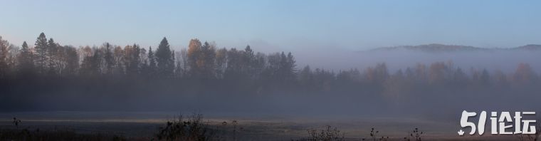 fog-9.jpg