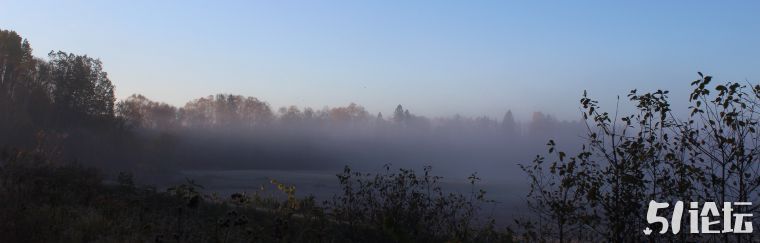 fog-7.jpg
