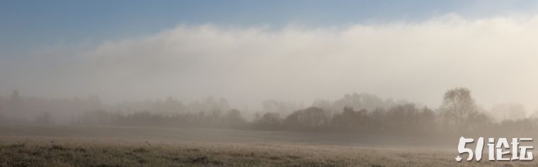 fog-16.jpg