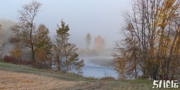 fog-14.jpg