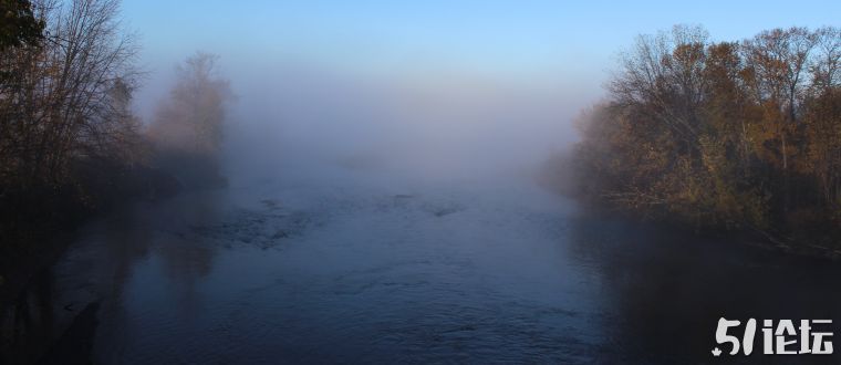 fog-6.jpg
