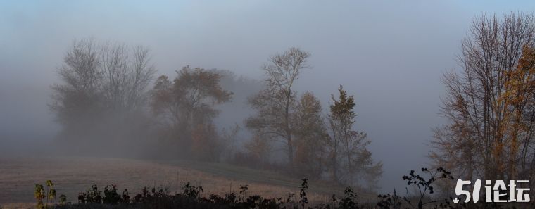 fog-10.jpg
