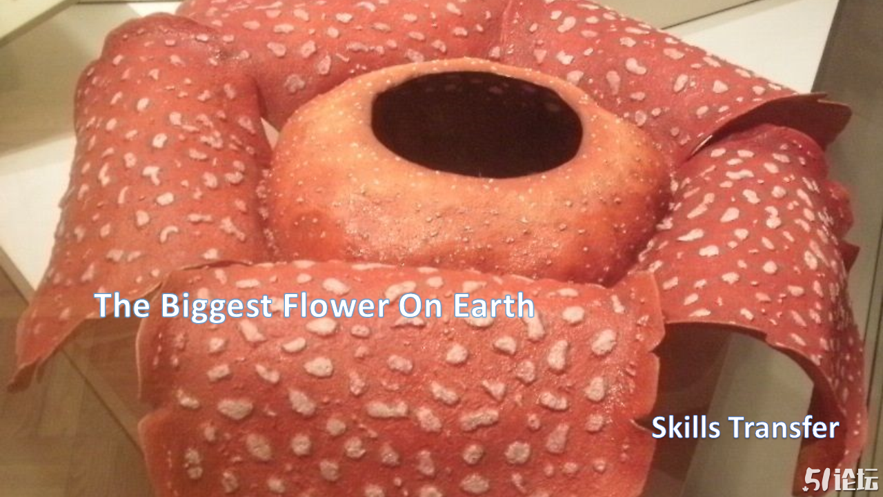 The Biggest Flower On Earth